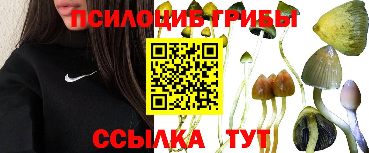 Псилоцибиновые грибы MAGIC MUSHROOMS  Вход с VPN  Архангельск 